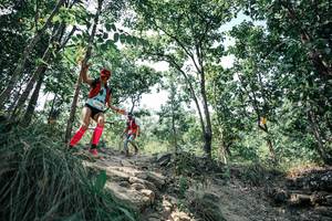 BIB: 
                            <button type="button" onclick="openModal(25760050)" class="btn btn-primary btn-sm float-right btn-popup" data-toggle="modal" data-target=".modal-high-quality">
                        <i class="fas fa-shopping-cart"></i> Add to Cart
                    </button>
                                            <button type="button" onclick="isThisMe(25760050, true)" class="btn btn-success btn-sm float-right btn-popup btn-isme hidden" data-toggle="tooltip" data-placement="bottom" title="นี่คือรูปของคุณใช่ไหม คลิกที่นี่เพื่อเอาเข้าอัลบั้ม">
                        <i class="fas fa-plus"></i> Add to album
                    </button>
                    <button type="button" onclick="isThisMe(25760050, false)" class="btn btn-warning btn-sm float-right btn-popup btn-isnotme hidden">
                        <i class="fas fa-ban"></i> Remove from album
                    </button>